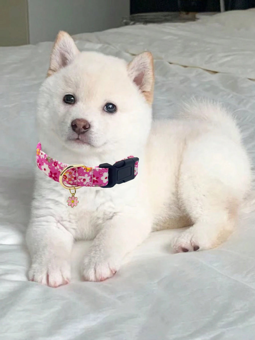 1PC Cute Flower Printed Adjustable Dog Collar with Decorative Pendant, Floral Pet Collar for Small, Medium & Large Dogs, Comfortable Adjustable Puppy Collar in Red, Pink, Purple & Blue