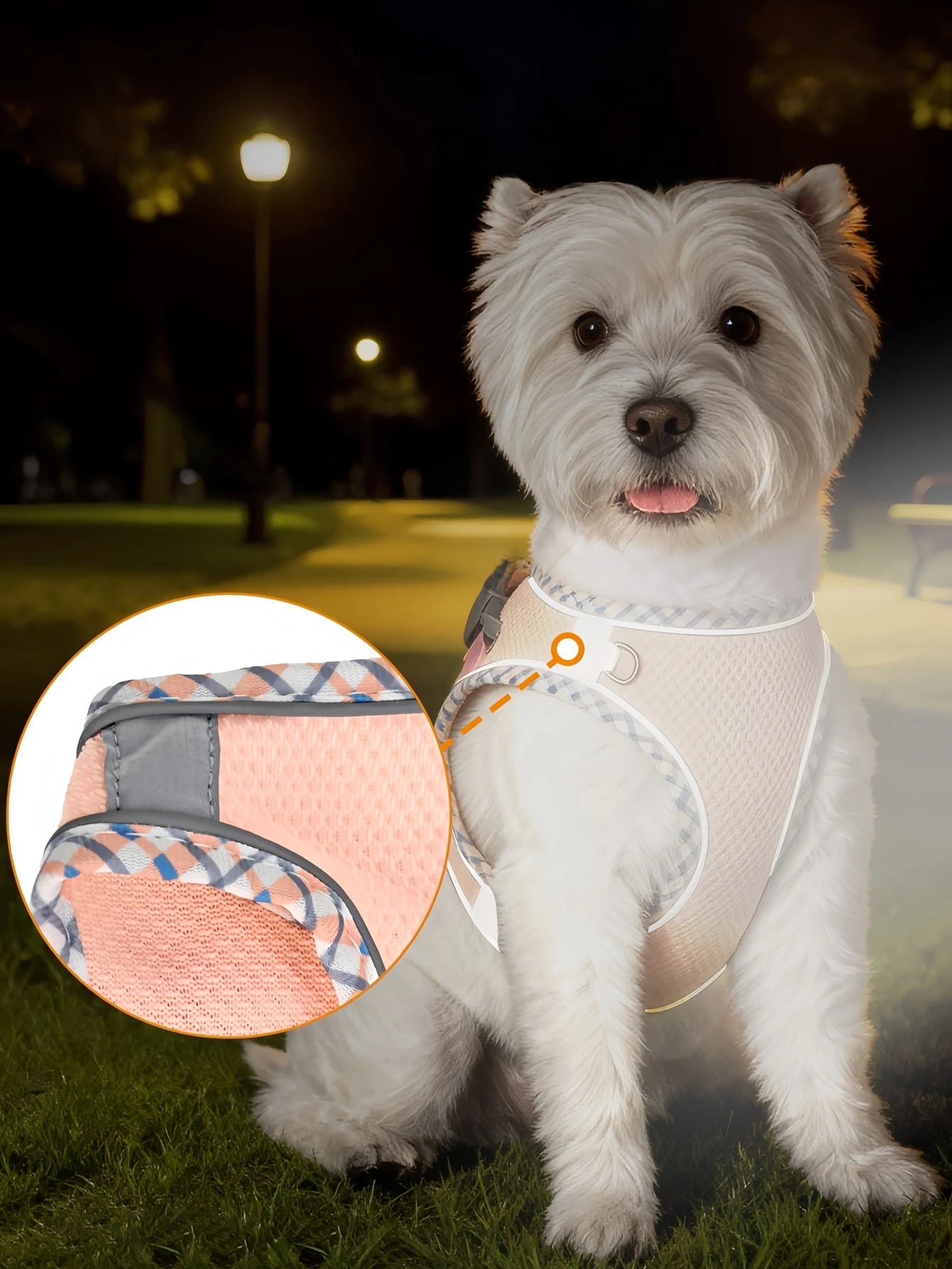 1PC Breathable Mesh Reflective Pet Harness and Leash Set, Anti-Escape Adjustable Dog & Cat Harness, High Visibility Outdoor Walking Vest for Small, Medium & Large Pets, Comfortable Travel & Daily Use Harness